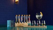 London Gin tasting and Masterclass