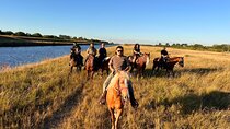Horse Riding in Miami's Countryside