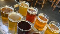 Private San Diego Beer Tasting Tour