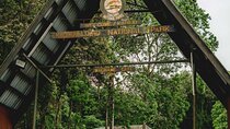 MT Kilimanjaro Day Trip VIA Machame Route
