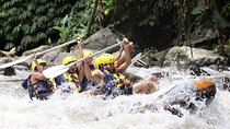 White Water Rafting in Bali