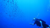 Achieve your PADI OPEN WATER DIVER certification.