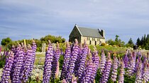 Lake Tekapo Stargazing & Mount Cook 2-Day Tour from Christchurch