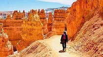 Small Group Day Tour To Explore Bryce Canyon & Zion National Park