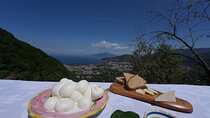 Farm Tour in Sorrento: Olive Oil, Lemons & Mozzarella Tasting