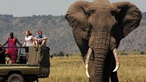 4 Day Kruger National Park and Panorama from Johannesburg
