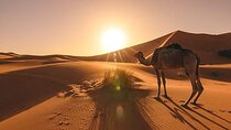 Marrakech To Fes 3 Days Desert Tours