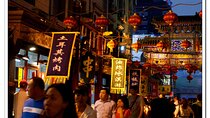4-5 hours Layover Night Trip in Beijing with English Driver