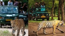 5 Days Golden Triangle with Ranthambore & Leopard Safari Tour