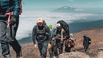 6 Days MT Kilimanjaro Private Hiking VIA Lemosho Route
