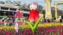 Everland Theme Park Private Transfer (From Seoul)