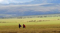 Day trip to Ngorongoro Crater and Maasai Village visit 