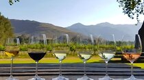 Stellenbosch&Franschhoek Uncorked A Full-Day Wine Adventure