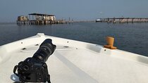 Boat Photo Tour: Capture Chioggia's Magic at Dawn and Dusk