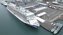 Cruise Port Private Transfer to Keflavik Airport