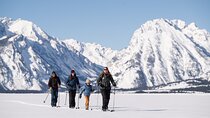 Private 4 Hour Beginner Cross Country Skiing in Grand Teton
