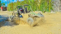 Unlimited Fun in Buggy and ATV and Horses in Punta Cana