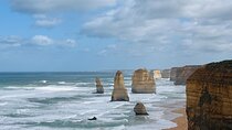  Great Ocean Road 12 Apostles Private Tours