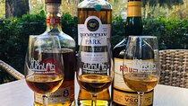 International Rum Tasting (Self Guided or Rummelier)