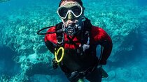 5 Days 10 Boat Dives Package for Certified Diver