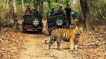 Chitwan Jungle Safari 3-Day Tour