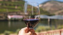 Douro Three Winery Small Group Tour with Lunch and Tastings