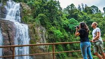 Kandy to Nuwara Eliya Day Tour