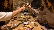 Poças Guided Visit and Wine Tasting of 2 DOC Douro & 2 Port Wines