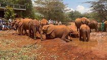 Nairobi National Park, Baby Elephant Orphanage and Giraffe Centre