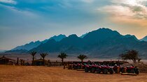 Quad bike and jeep safari through the desert 