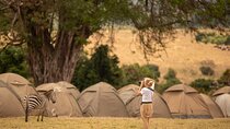 7-Days Private Budget Camping Safari with Walking Tour
