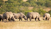 5 Day Group Tour Tarangire, Serengeti, Ngorongoro & Lake Manyara