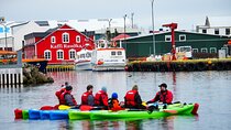 Private: Guided kayak tour in Siglufjörður / Siglufjordur.