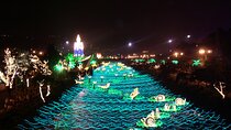 Night Tour Christmas Lights in Medellin