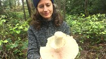 Wild Mushroom Foraging Class