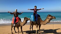 5 Hour Tangier Customized Private Tour & Flexible