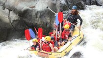Barron Gorge White Water Rafting from Cairns or Port Douglas