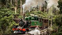 Puffing Billy Train and Phillip Island Penguin Parade Day Tour