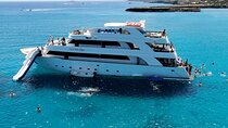 Blue Lagoon: 3 Hours Afternoon Cruise with transfer from Paphos
