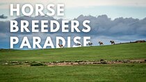 Horse Breeders’ Paradise