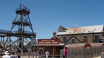 Gold Rush Adventure Explore the Mine and Scenic Ballarat Lake