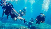 Personalized Diving and Snorkeling in Riviera Maya