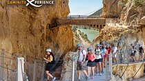 From Malaga: Bus Round Trip Caminito del Rey + Tour Official Guide