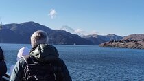 Shinjuku to Hakone Scenic Adventure