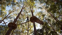Western Sydney Tree Ropes Course 