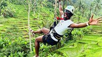 Ubud Zip-line,Rice Terrace and waterfall 
