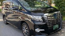 Tokyo Private Transfer from or to Narita Airport (NRT)