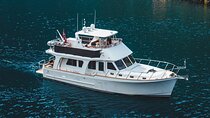Private Mostraumen Fjord Cruise - Premium Explorer 50 Yacht