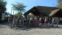 2 Days 1 Night Lake Nakuru National Park & Lake Naivasha Safari