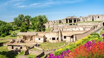 Private day trip: Naples to Pompei, Castellammare Di Stabia, back